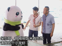 yoyo吃瓜娱乐,揭秘娱乐圈幕后故事