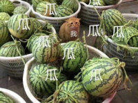 关于娱乐吃瓜的头像,揭秘明星幕后故事