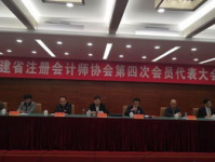 福建注册会计师协会,行业自律与专业发展的引领者