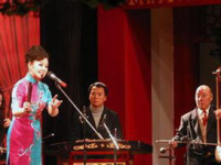 河南坠子,千年曲艺传承，中原文化瑰宝