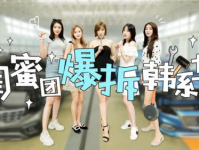 娱乐吃瓜酱实验室跳舞,揭秘明星舞蹈背后的秘密