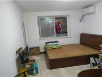 长虹街租房,热门小区房源解析与周边配套一览