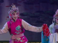 蒲剧全本,探寻山西古老戏曲艺术的瑰宝