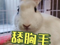吃瓜男抖音网红碎盖,吃瓜男界的“瓜王”崛起之路