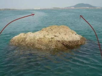 浮游矶钓,技巧、装备与魅力解析