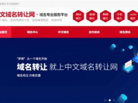 域名出售,备案域名出售热潮，打造品牌新机遇