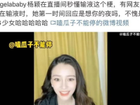 娱乐圈吃瓜王思聪直播间,娱乐圈吃瓜盛宴，揭秘明星幕后故事