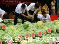 实锤吃瓜网,揭秘娱乐圈幕后真相，带你走进明星真实生活