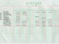 会计账簿,企业经济活动全面记录与管理的基石